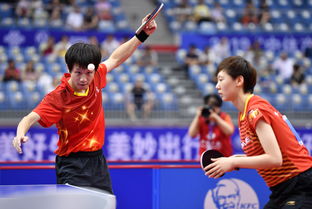 包含乒乓球混双历年冠军国家中国乒乓球国内冠军的词条